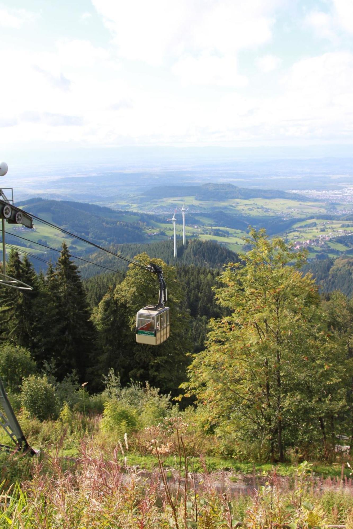 Ferienwohnung Seeblick Nr 2 5-Zimmerwohnung - Feldberg Baerental Rotwasser Eksteriør billede