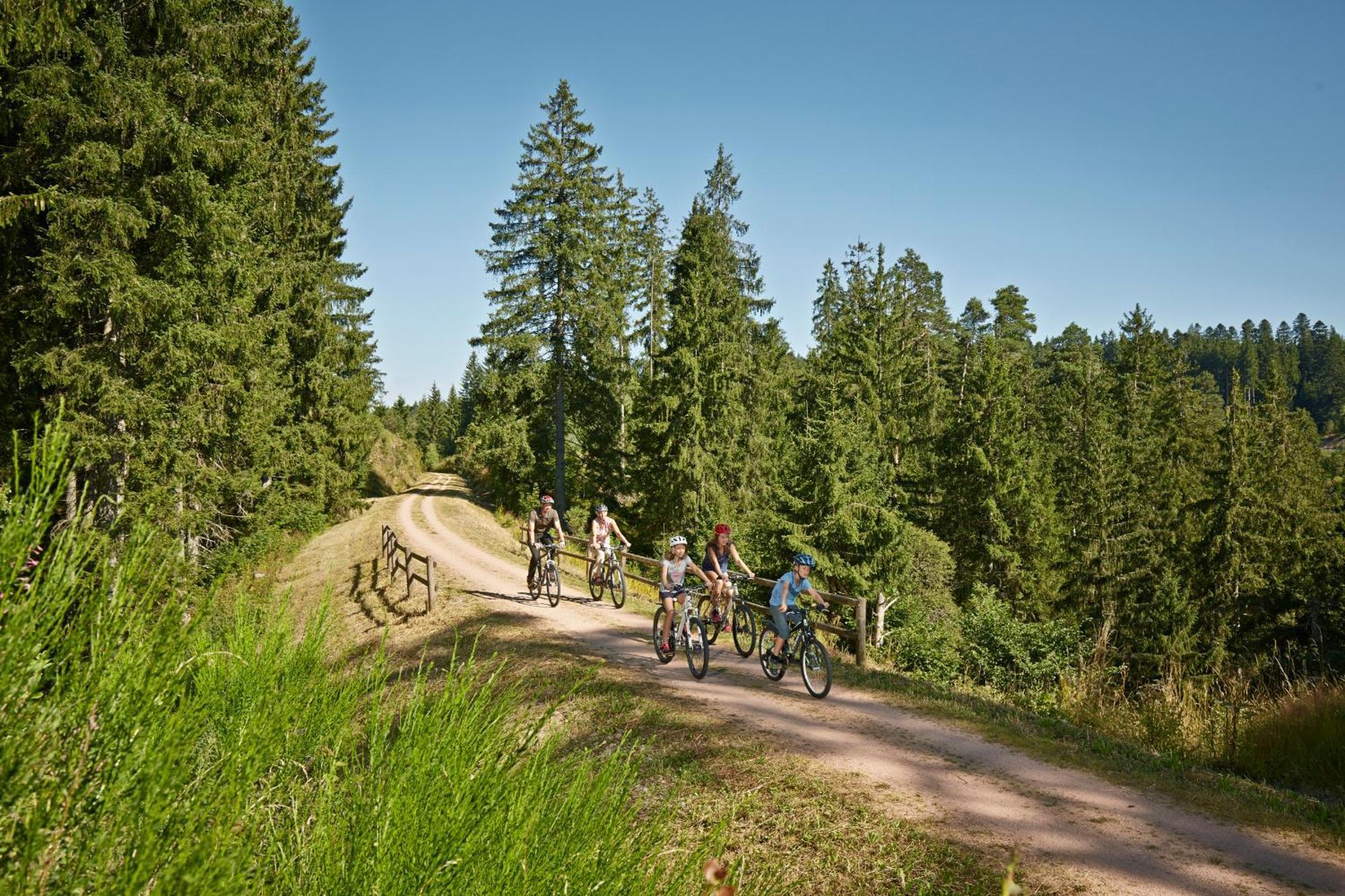 Ferienwohnung Seeblick Nr 2 5-Zimmerwohnung - Feldberg Baerental Rotwasser Eksteriør billede