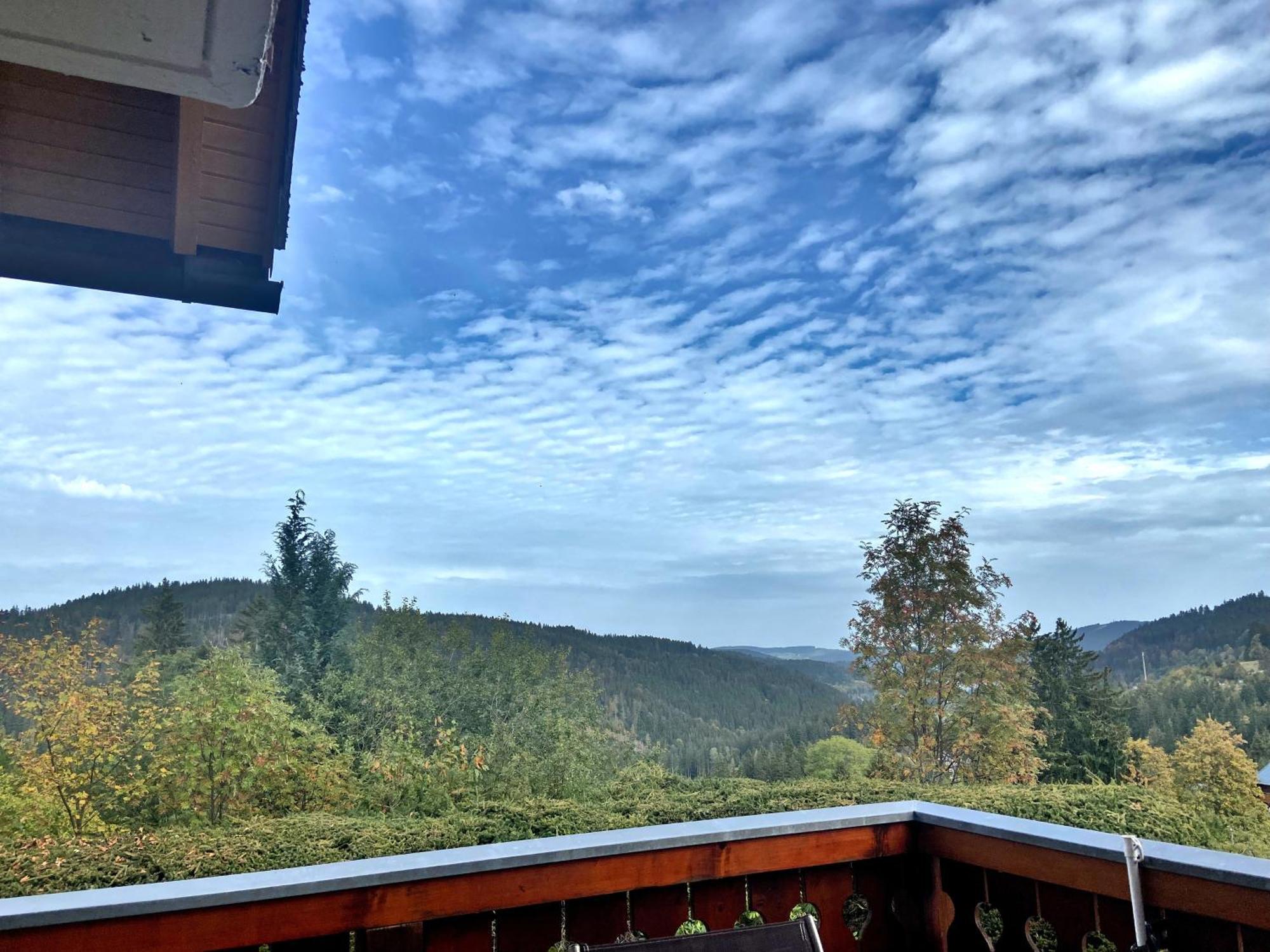 Ferienwohnung Seeblick Nr 2 5-Zimmerwohnung - Feldberg Baerental Rotwasser Eksteriør billede